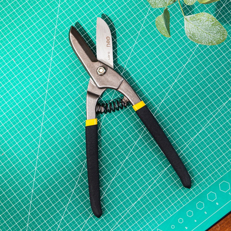 Մետաղական Թիթիեղի Մկրատ 250մմ