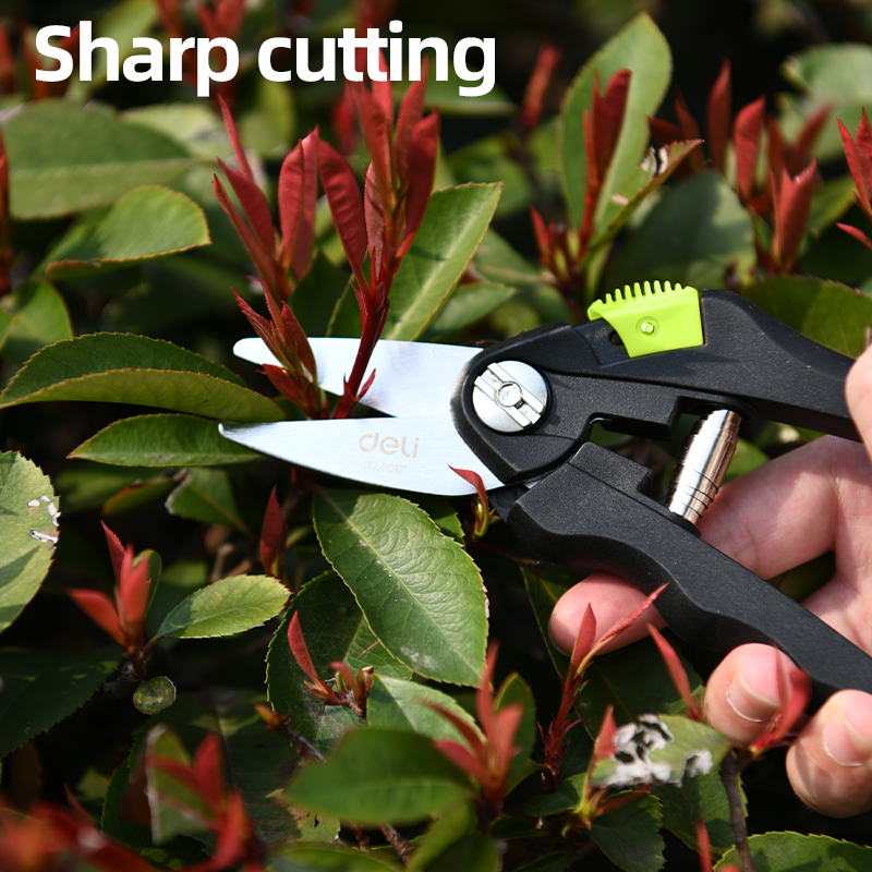 Էտի մկրատ 200 մմ