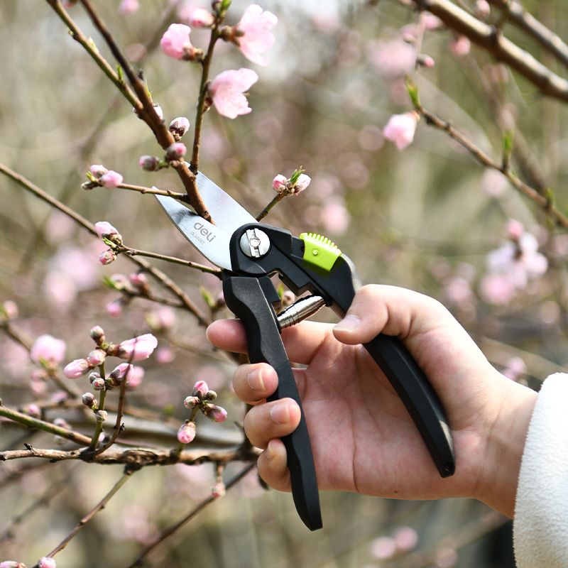 Էտի մկրատ 200 մմ