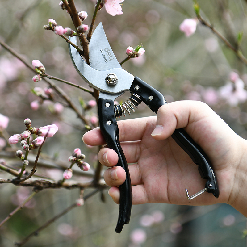 Էտի մկրատ 205 մմ