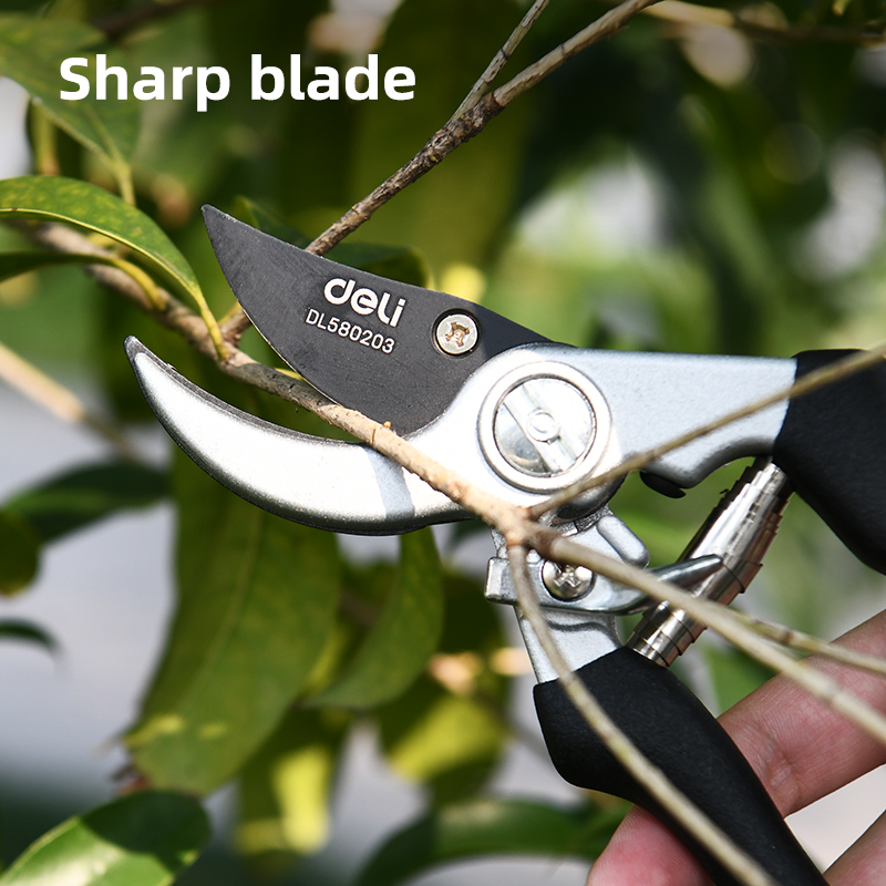 Էտի մկրատ 210 մմ