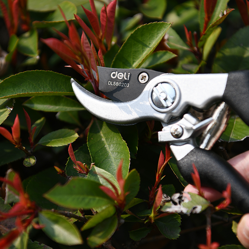 Էտի մկրատ 210 մմ