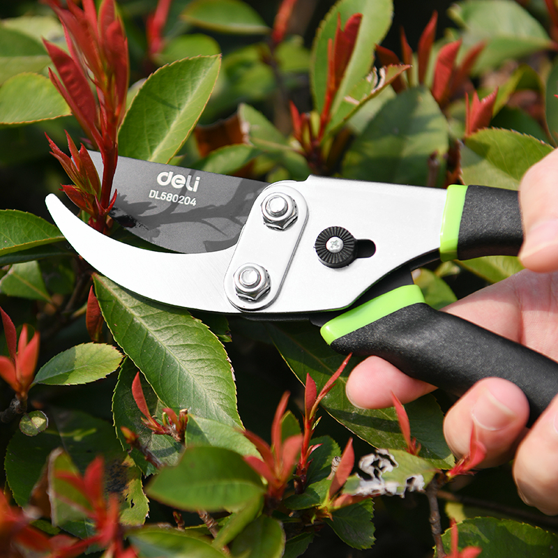 Էտի մկրատ 200 մմ