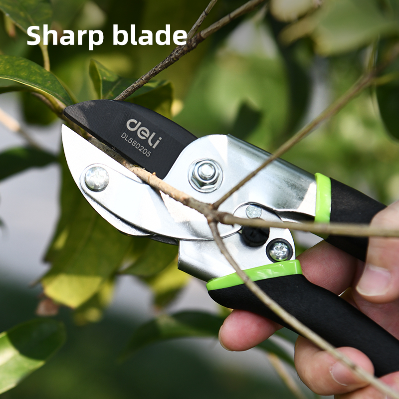 Էտի մկրատ 200 մմ