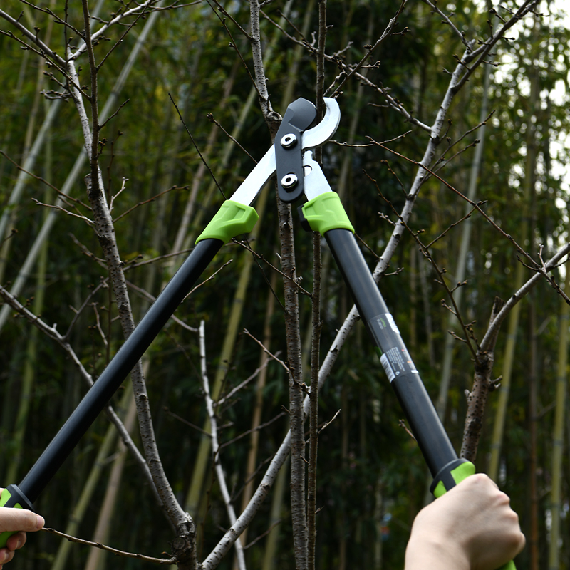 Էտի մկրատ 775 մմ