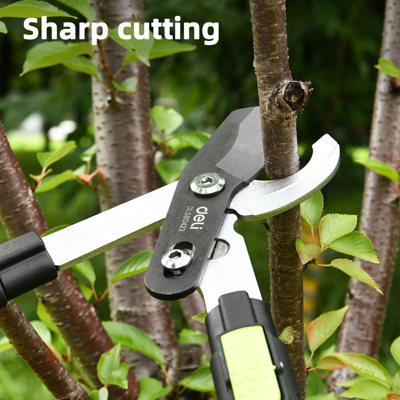 Հեռաձգվող էտի մկրատ 630-870 մմ