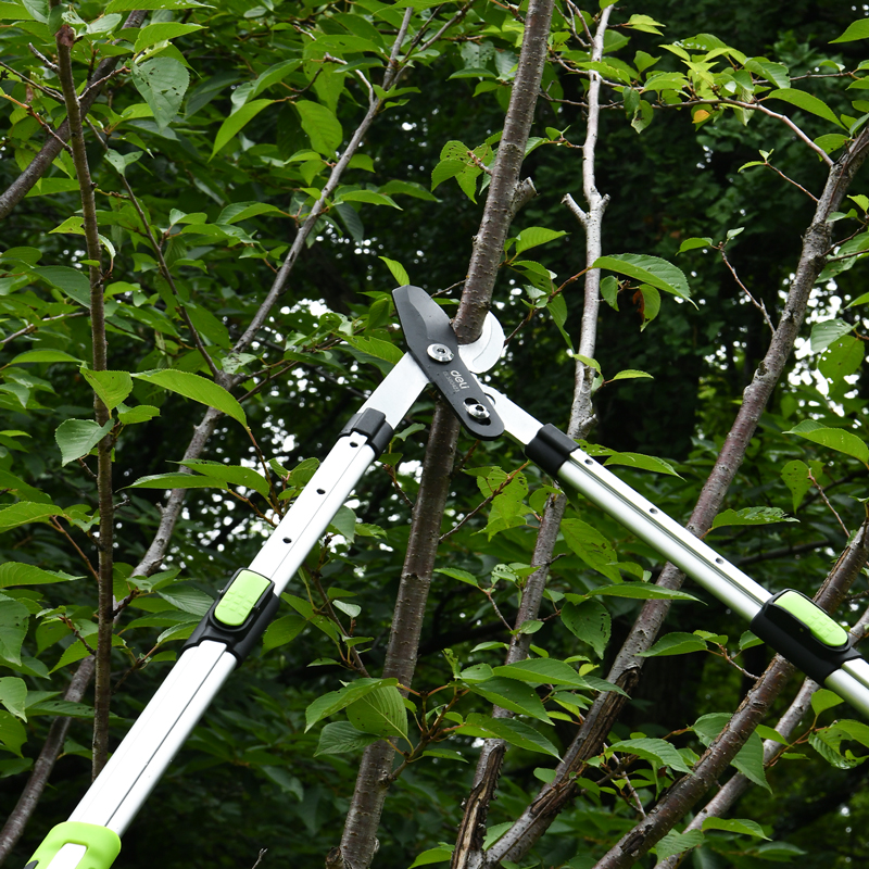 Հեռաձգվող էտի մկրատ 630-870 մմ